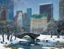 Alexander Chen - Central-Park-Winter.jpg( 65.91 KB)